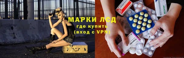 стафф Алексин