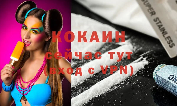 стафф Алексин