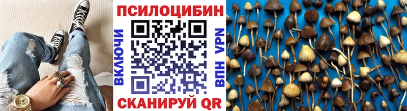 Галлюциногенные грибы мицелий  закладка  Заполярный 