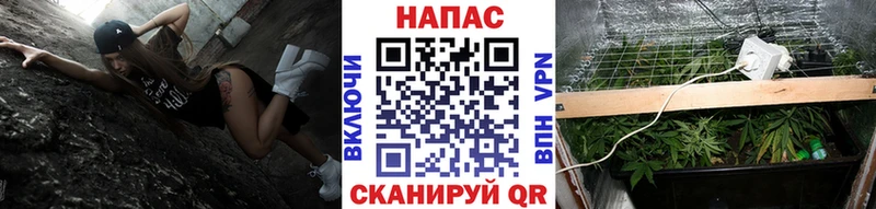 наркотики  Заполярный  Бошки Шишки Ganja 